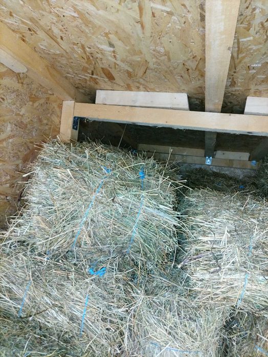 Fan cu lucerna de vanzare