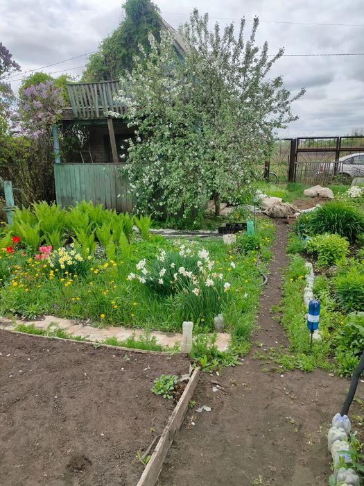 Продам дачный участок