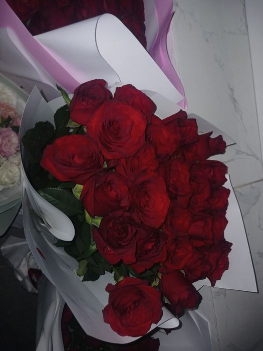Срочно продам цветы