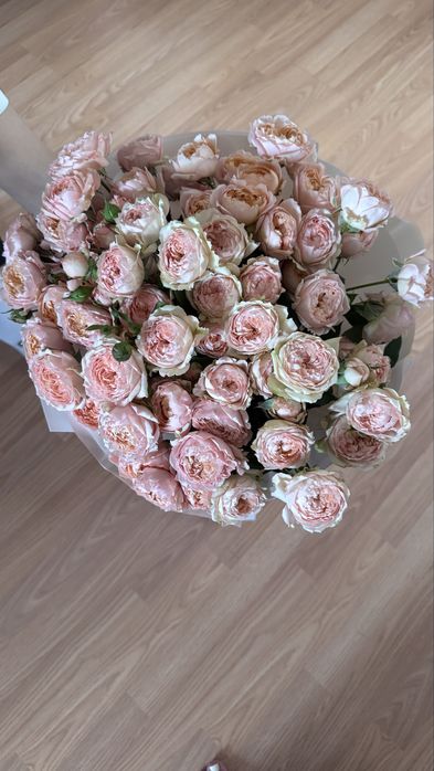 Бу цветы алматы