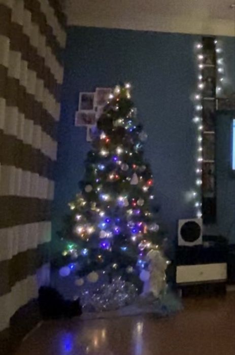 Елка в отличном состоянии