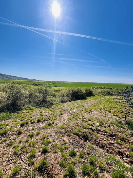 Șiria - teren extravilan de vanzare