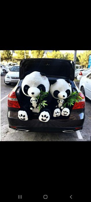 Panda supper arzon narxda