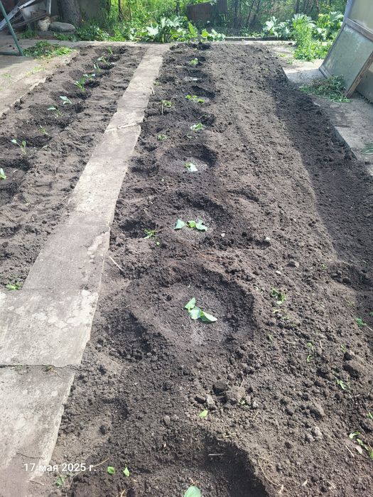 Продам дачу в ПСТ - Восточник 5