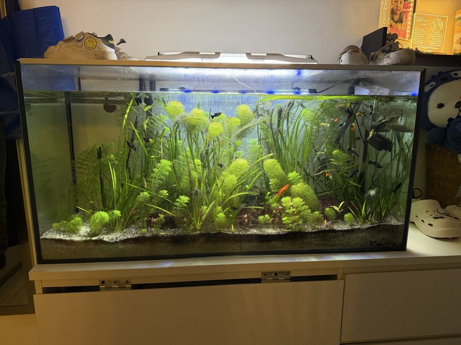 Acvariu 200l ca nou