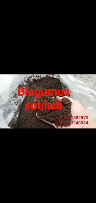 Биогомус  1300 сум