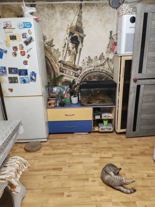 Обмен на квартиру