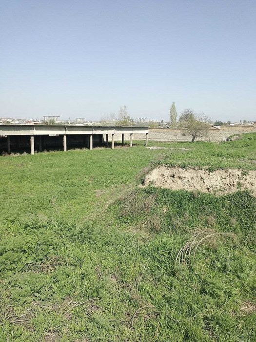 Продаётся земля 4.5 гектара в городе Нурафшон. Тойтепа. 1 линия 1