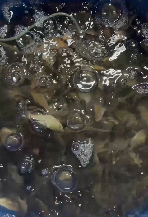 Барахолка рыбака