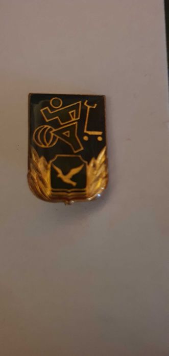 Insigne perioada comunista pionier, soimii patriei etc