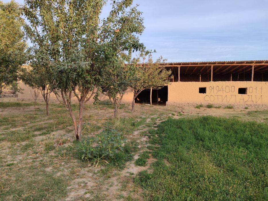 Джиззах вилояти Ш. Рашидов туман Куебошда Участка сотилади