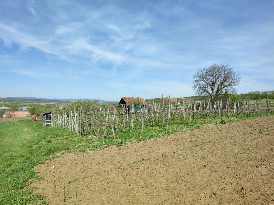 Téren intravilan de vanzare