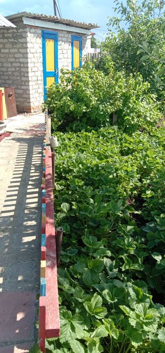 Продам дачу 1дачная общество Борки