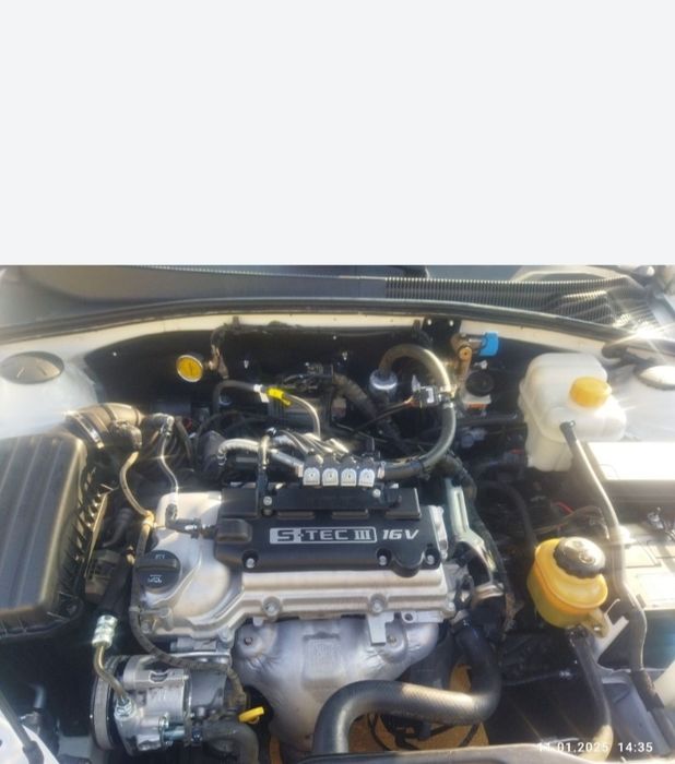 Jentira 2019 zavod metanda