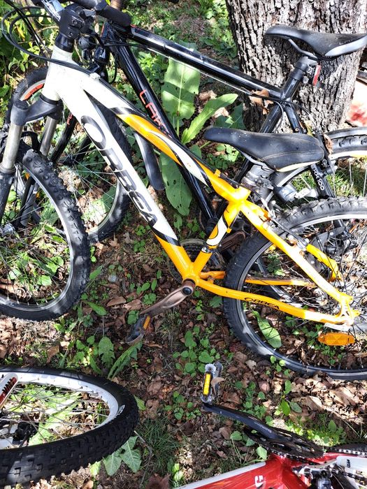 Biciclete de vânzare
