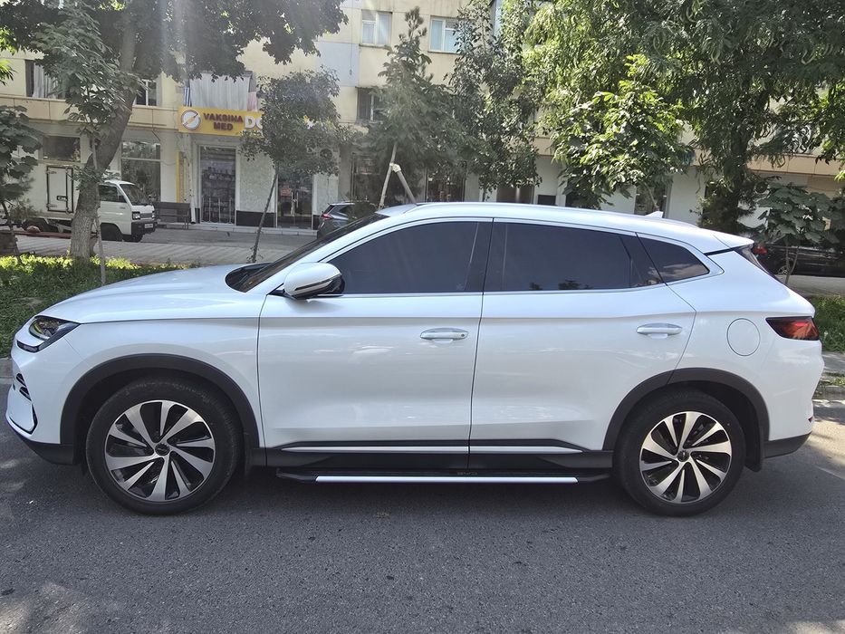 BYD CHEMPION full 150 tali