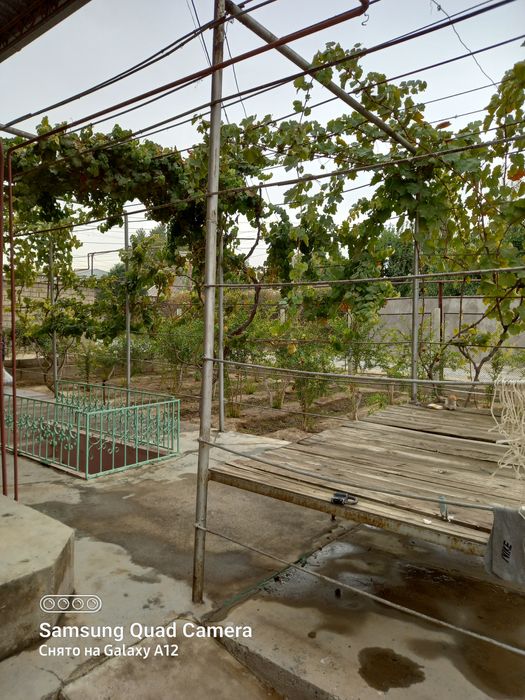 Загородный дом миниферма