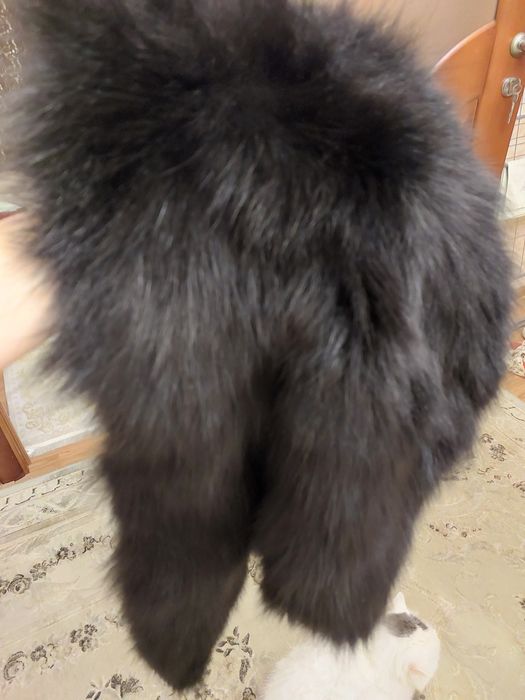 Продам мех, лиса