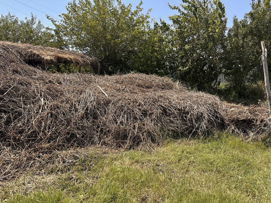 G’oza poya sotiladi