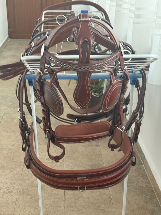 Ham nou și trăsura maraton