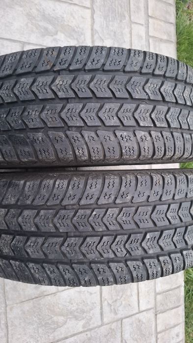 205 65 16c DOT 2019 Semperit M+S