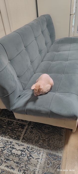 Продам диван книжка