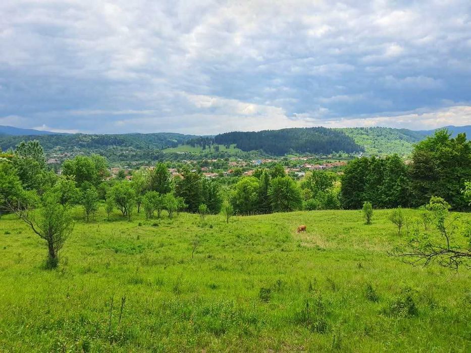 24.500mp - TEREN INVESTIȚII-1.6€/ mp Camping/Pensiune/Turism PANORAMĂ