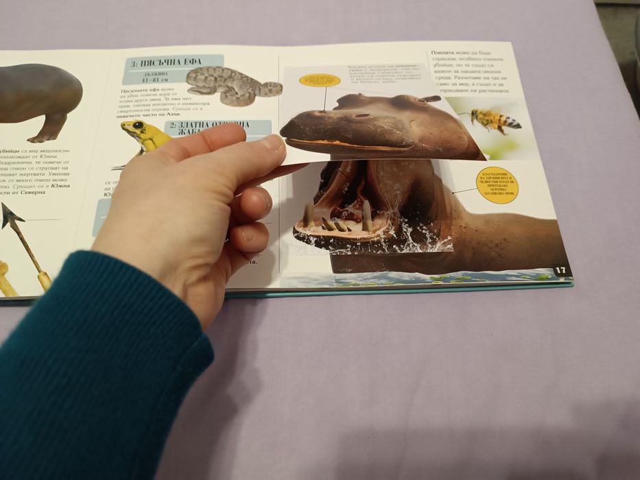 Енциклопедия за животни