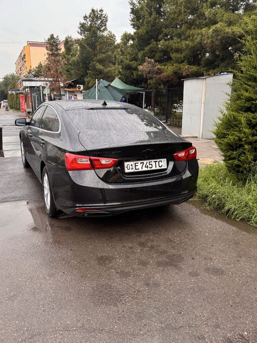 Malibu 2 turbo 2019