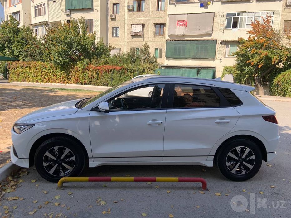 Byd e2 luxury 2023/2024. Краска тоза
