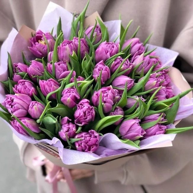 Тюльпаны оптом Алматы !