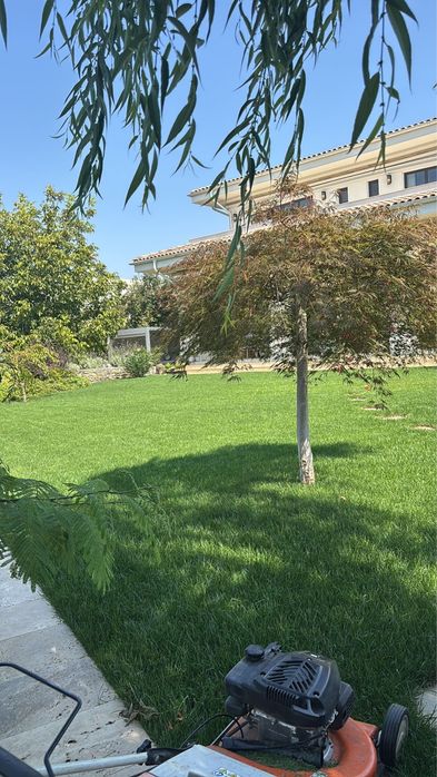 Gazon Rulou si Sisteme de Irigat