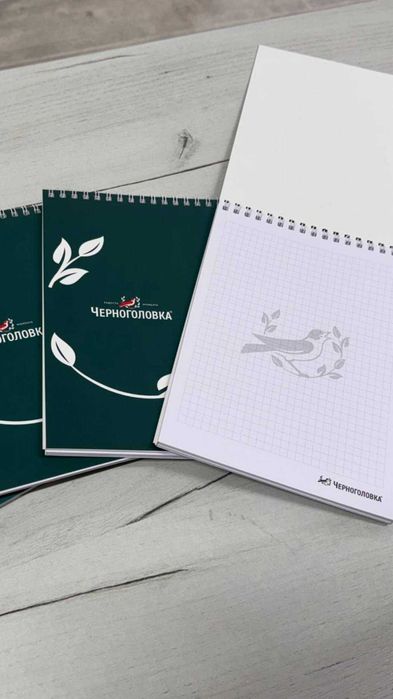 Полиграфическая продукция: блокноты, буклеты, папки, пакеты