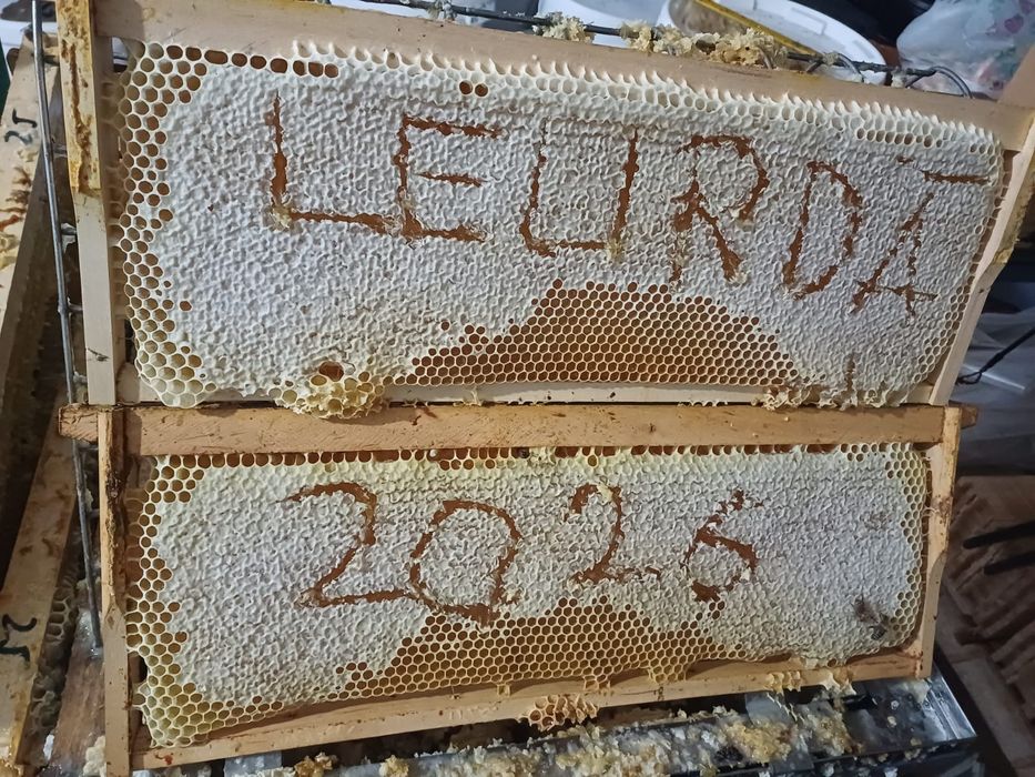 Miere de leurda 2026
