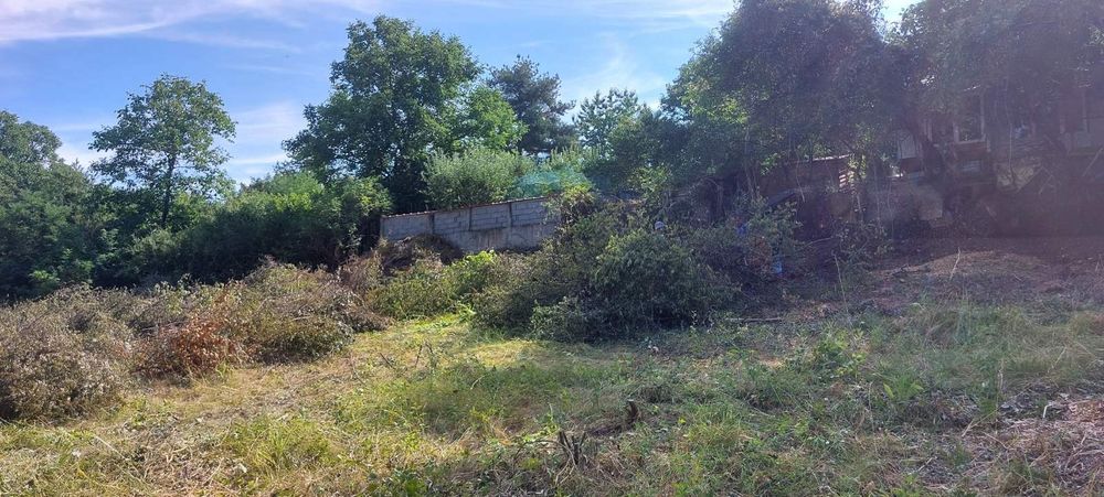 Почистване на запустели парцели и имоти