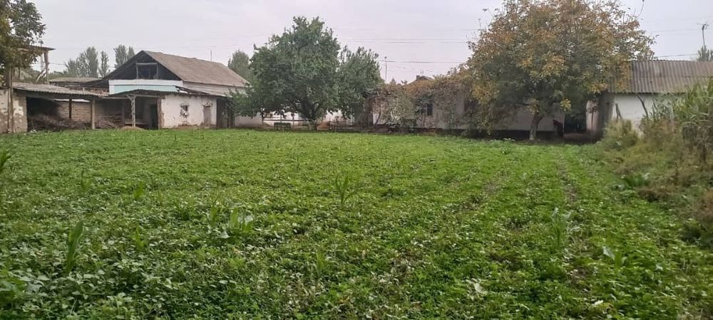 Ховли Уй сотилади