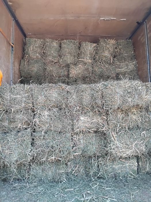 Baloti de lucernă de vânzare