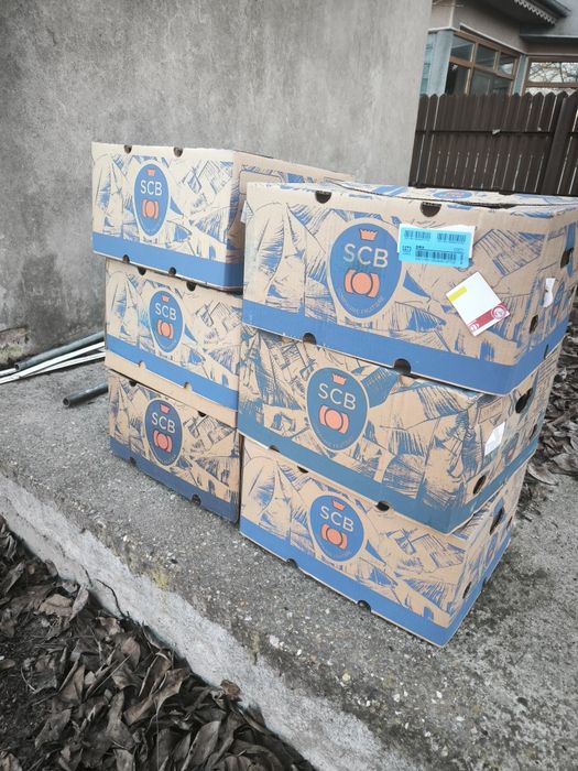 Baxuri, cutii de banane