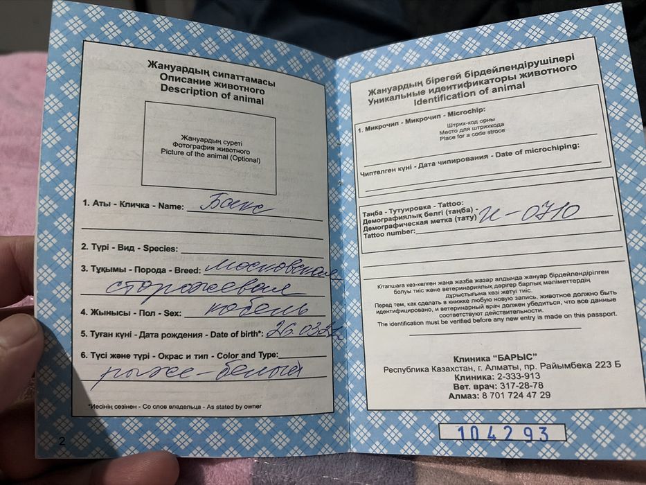 Продаются щенки московской сторожеврй