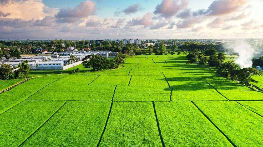 Земельный участок в Зангиатинском районе