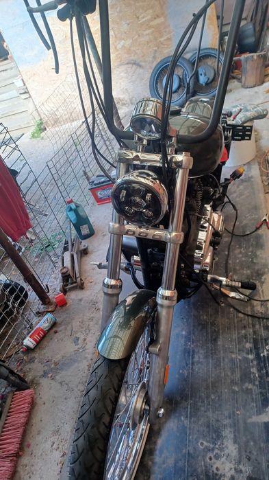Harley davidson softail
