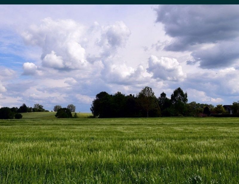 Жер сатылады Ж/М Шығыс