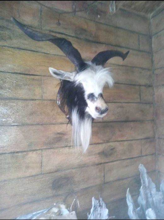 Препариране на животни.