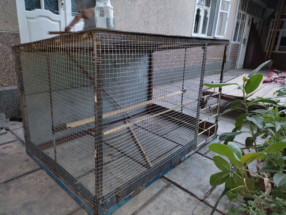 Katak sotiladi Yangi  ishlatilmagan