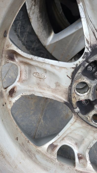 Jenti cu anvelopa vara