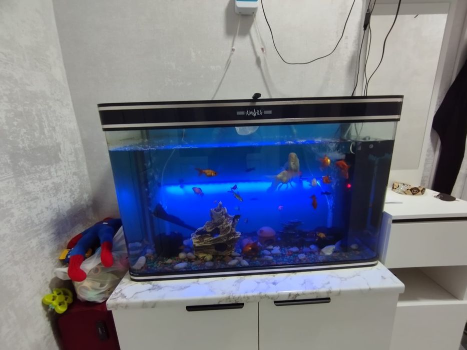 Аквариум полностью