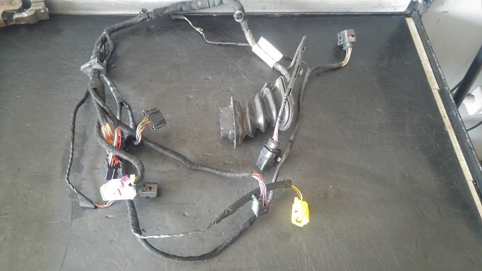 Instalatie electrica usa stanga fata seat leon 1p1 1p1971120d