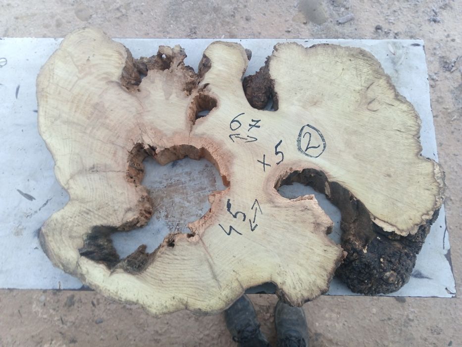 Rondele salcâm bubos