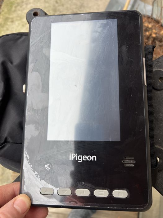 Topigeon V8 , 2023, trapa  mare