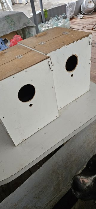 Дуплянки для птиц